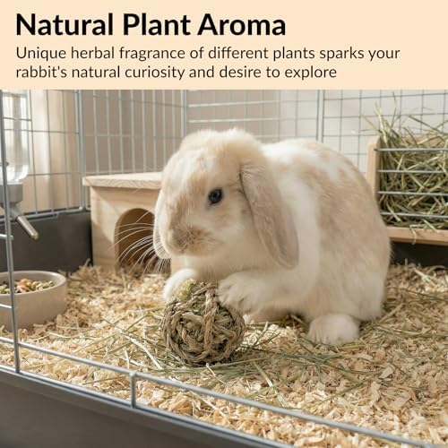 7 Pcs Rabbit Chew Toys, Interactive Bunny Foraging Toy, Natural Materials, Loofah Sponges, Seagrass Balls, Dental Cleaning, Relieve Stress