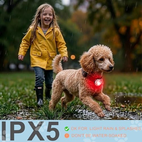 2-Pack Dog Collar Lights, Yesbular USB-C Rechargeable Dog Light Clip-On, Waterproof LED Pet Safety Light with Adjustable Silicone Strap for Night Walking, Camping(RGB 7-Color)