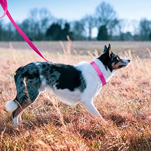 azuza Nylon Dog Collar and Leash Set, Strong & Durable Basic Style Leash and Collar with ID Tag Ring, Available in Multiple Lengths for Medium Dogs, Purple,M