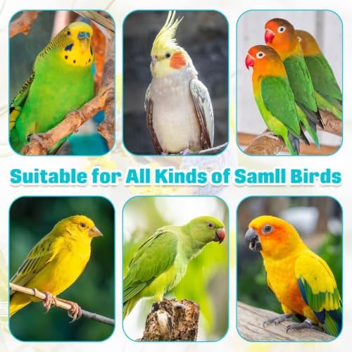 PINVNBY Wooden Bird Foraging Toys Interactive Parrots Foraging Toys