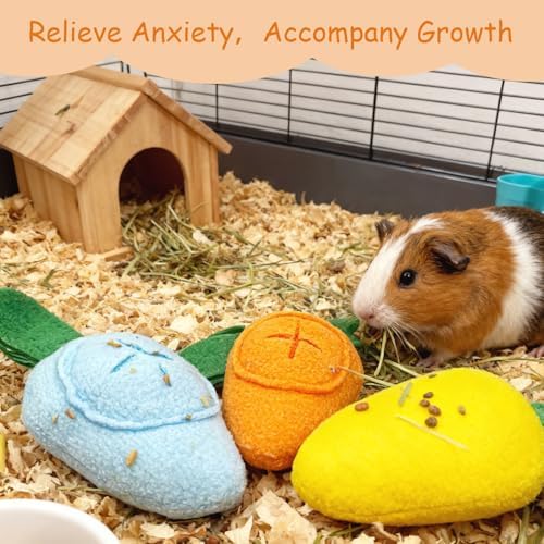 3Pcs Guinea Pig Toys, Washable Guinea Pig Slow Feeder Treat Dispenser Toy, Boredom Relief and Foraging Fun(Yellow, Orange, Blue)