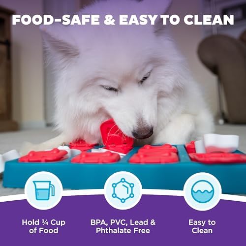 Outward Hound by Nina Ottosson Dog Brick – Interactive Treat Puzzle Enrichment Toy, Level 2 Intermediate, 1 Count (Pack of 12)