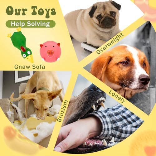 Jenaai 11 Pcs Dog Squeaky Toys Squeaky Latex Dog Toys Soft Chew Rubber Dog Toy Rubber Chew Toys for Dogs Assorted Animal Pet Toys Puppy Fetch Pet Interactive Play for Small and Medium Pets