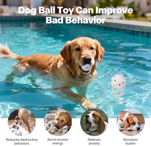 Pet Prime 2.5" ETPU Dog Balls 6-Pack,for Upgraded Max Automatic Ball Launchers,Interactive Training & Fetch Toys,Durable High-Bounce Chew-Resistant Ball for Large Dogs