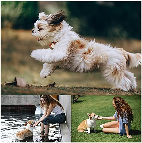 Bvrbaory 6 Pack Dog Flying Discs - Interactive, Soft Floating Saucer for Small, Medium Dogs - Safe on Teeth
