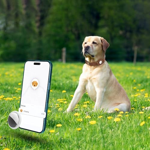 AirTag Dog Collar - Genuine Leather Dog Collar with Apple AirTag Holder and Metal Buckle - Smart GPS Tracking Pet Collars (Tawny, M, 14"-18" Neck Fit)