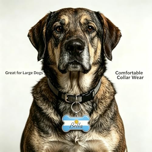 HSIAHOU Custom Pet ID Tags, Personalized Dog Tag Cat Tag(Argentina)