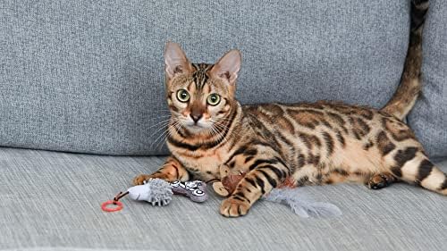 Star Wars for Pets The Mandalorian Plush Bouncy Cat Toy