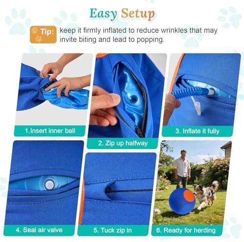 Herding Ball for Dogs Large for Australian Shepherd, Blue-Orange, M