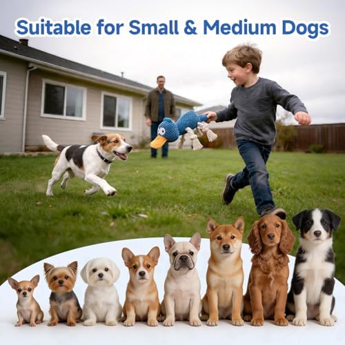 Squeaky Dog Toys, Interactive Duck Dog Toy for Small Medium Dogs