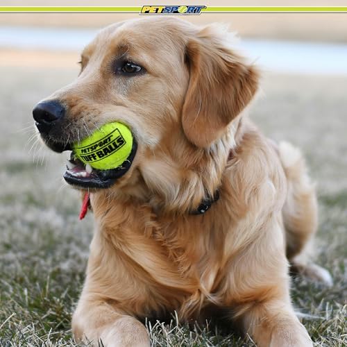 PetSport Tuff Ball - Medium Tennis Balls for Dogs, Great for Boredom & Aggressive Chewers, Dog Toy, Medium Tennis Balls for All Dogs, Certified Non-Toxic, Won't Wear Down Teeth - 2.5" (3 Pack)
