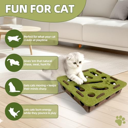 Cat nail file enrichment box,Cat Toy Box for Indoor Cats and Kittens