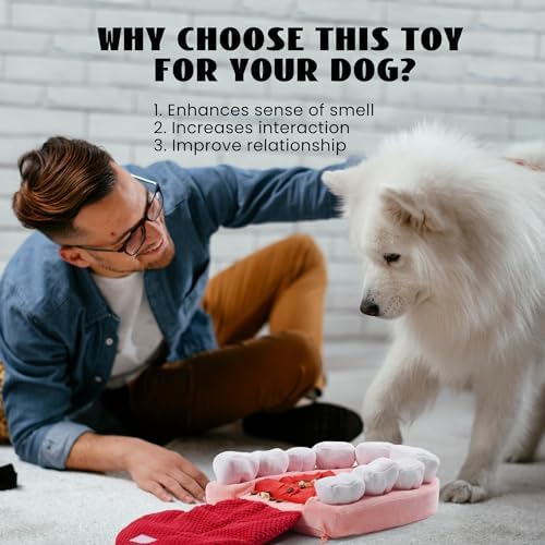 Nocciola Interactive Teeth Dog Toys – Enrichment Puzzle Funny Dog Toy for Small to Large Dogs, Hide and Seek Dog Toys to Keep Dogs Busy (White Teeth)