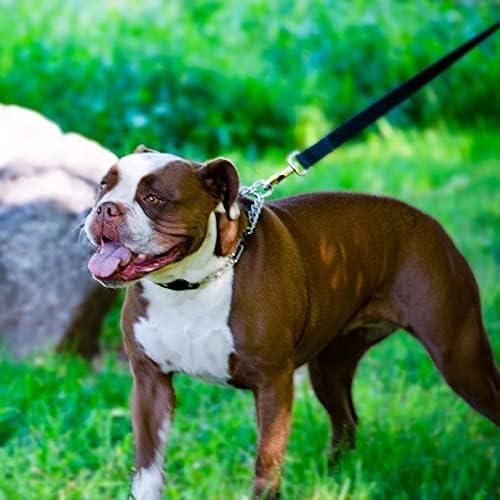 Herm Sprenger 3mm Prong Collar for Dogs Training - Quick Release Buckle & Swivel Ring for Easy Use - Made of Durable Steel Chrome Plated in Germany for Large Dogs (3mm Prongs, 20-26" Neck)