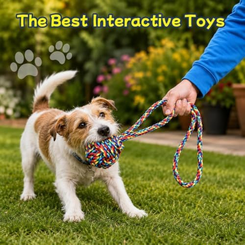 Dog Rope Toys for Aggressive Chewers, Strong Suction Base, Interactive Dog Toys to Keep Busy, Tough Tug of War Dog Toys for Large, Medium & Small Dogs (Multicolored, Suction)