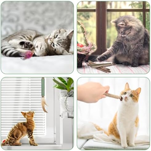 Bissap 16PCS Silvervine Chew Sticks, Catnip Chewing Toy for Cat Kitten