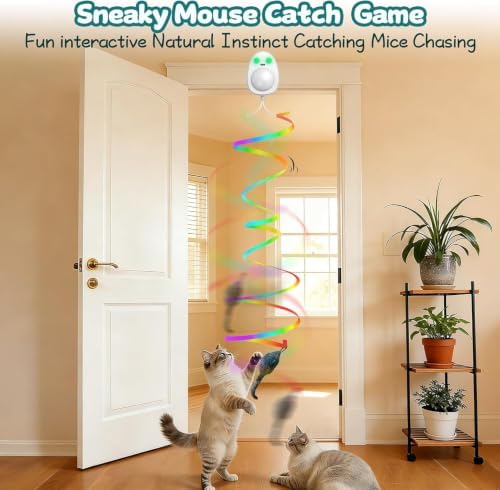 Interactive Cat Toys for Indoor Cats,Electric Flying Bird & Mouse Wand Teaser, Automatic Hanging Door Frame Chase/Hunt/Exercise Stimulate Feather Cat Toy for Bored Indoor Adult & Kitten (White)