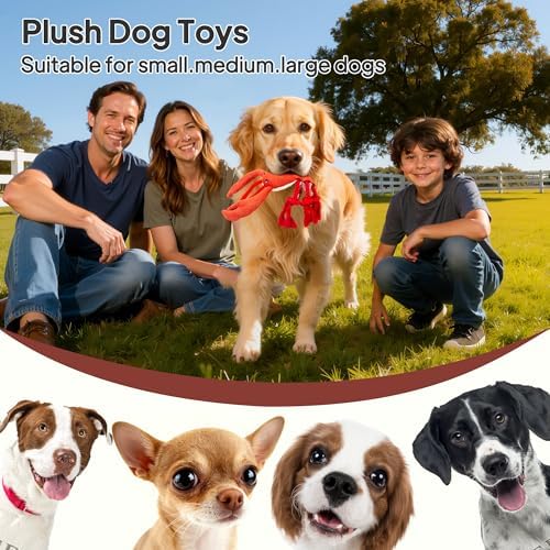 TwoEar Lobster Squeaky Dog Toys, Plush Chew Toy with Tug Rope