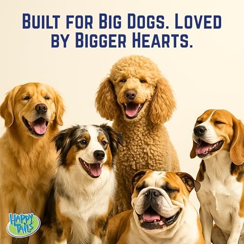 Happy Tails 13" Woolie Lion Dog Toy for Medium to Large Dogs - Durable Polyester with Squeaky Sound and Reinforced Stitching for Engaging Play and Chewing