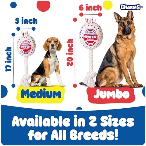 Blow Pop Plush & Rope Dog Toy – Scented Squeaky Plush with Durable Rope Stick – Tug, Fetch & Chew Toy for Dogs – Available in Jumbo & Medium Sizes – Apple, Cherry, Grape & Watermelon