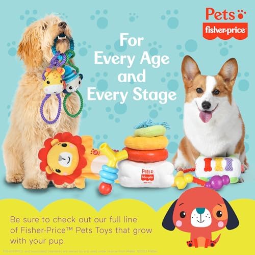 Fisher Price Attack-A-Stack Chase and Toss Dog Toy