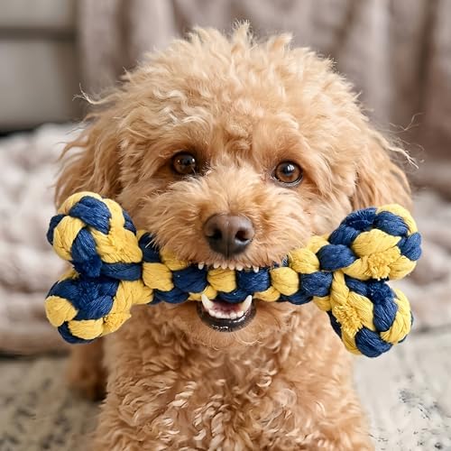 Bone-Shaped Dog Rope Chew Toy, Blue & Yellow