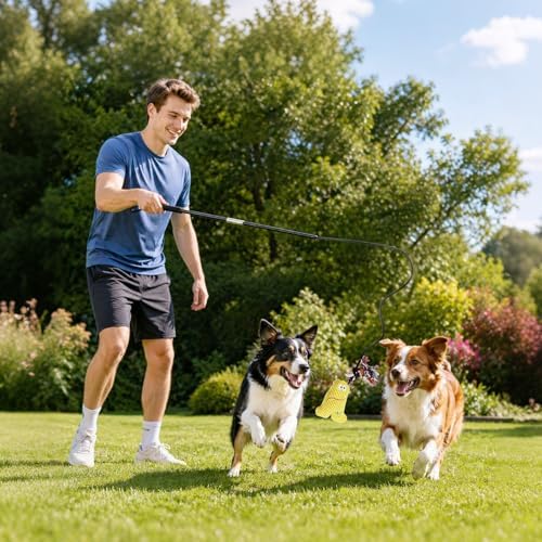 Flirt Pole for Dogs with Squeaker & Rope – Includes XL Carry Bag