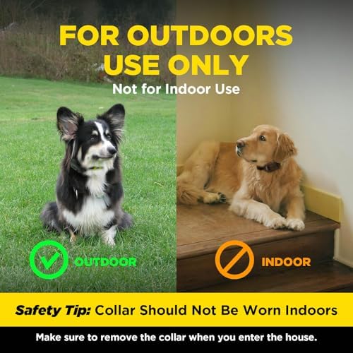 Dogtra Training Flags for GPS Fence/SMART Fence – 50-Pack Neon Orange Boundary Markers – Flexible, Weather-Resistant Yard Flags for Wireless Fence Training, Pet Containment, Safe Outdoor Setup