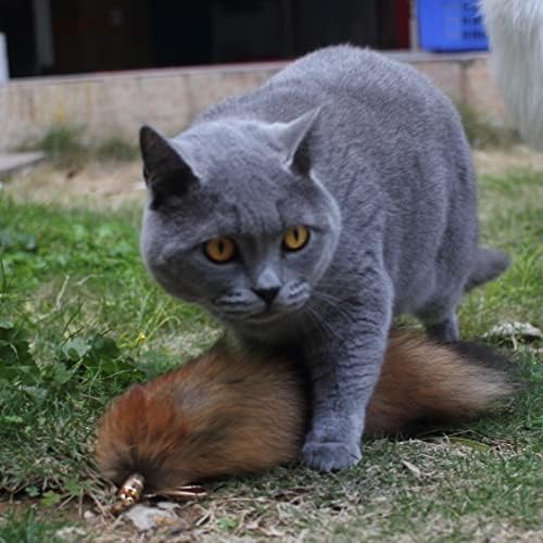Fosrion Real Raccoon Tail Fur Cat Bites Toy with Three Section Retractable Carbon Fiber Rod (Sunny Fox, Only Tail)