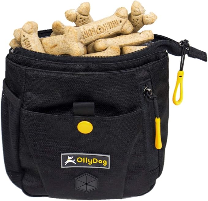 OllyDog Backcountry Day Bag | Hands-Free Dog Training Treat Pouch | Fanny/Hip Pack with Zipper Closure & Built-in Poop Bag Dispenser | Removable Waist Clip (Raven)
