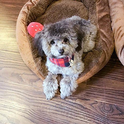 Small Dog Costume Collar - Plaid Bowtie Kitten Bandana Collar for Halloween - Teacup Yorkie Chihuahua Clothes Outfits Accessories, Adjustable (Navy Note Bow Tie, 8.7 to 11-Inch)