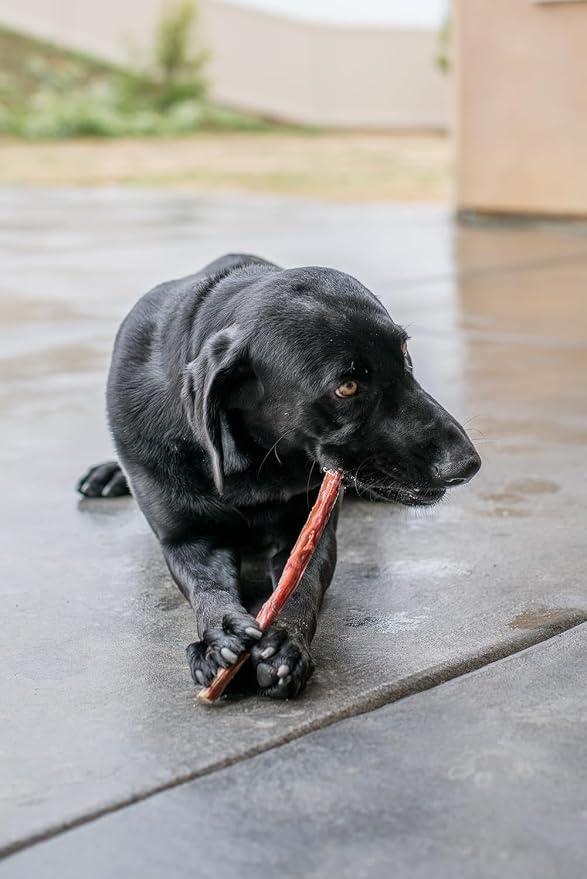 GigaBite Beef Esophagus Dog Treats Sticks - 6 Inch , 18 Pack | All Natural, Single-Ingredient Beef Gullet Chews, High Protein, Rawhide Free, Supports Dental Health
