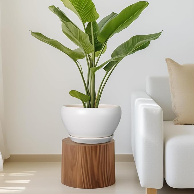 Ceramicfor Ceramic Planter for Indoor Plants - 11 Inch Plant Pot with Drainage Hole and Saucer Decorative Round Large Planter Pot for Plants Outdoor Flower Pot for Garden White
