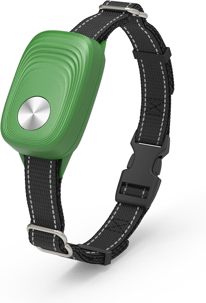 Doggie Door Sensor, Compatible with High Tech Dog Door, Shamrock Green,1PK