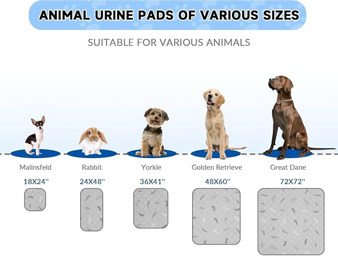 Sunheir Washable Pee Pads for Dogs Large 24" x 72" 2-Pack Reusable Puppy Pads Pet Training Pads, Absorb Dog Mats, Whelping Pad, Non-Slip Protects Against Urine Leakage,Runner Rug (Leaves - Light Grey)