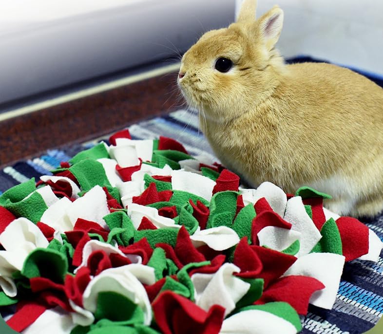 Vedem Small Animal Snuffle Mat Fleece Foraging Mats Interactive Feeding Toy Rabbit Guinea Pig Rat Hamster Anti Slip Treat Dispenser (Green/Red/White)
