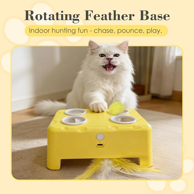 Cheese Box Interactive Cat Toy for Indoor Cats, 3-in-1 Whack a Mole Feather Toy, 3 Modes Rechargeable Auto Cat Toys for Bored Cats, 4 Holes Kitten Toy, 4 Accessories