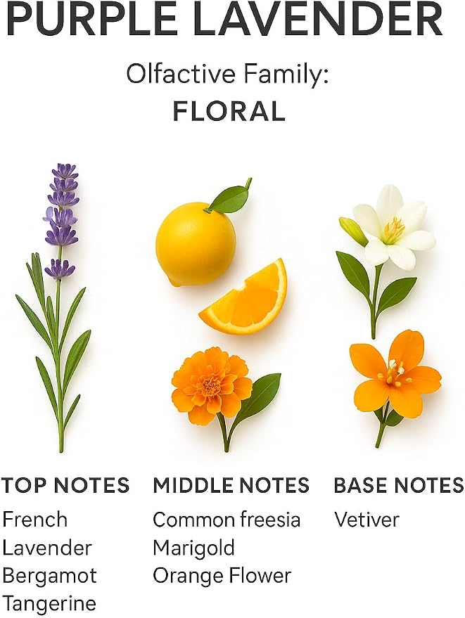 SevenAromas Purple Lavender | 145ml 5oz Hotel Scent Diffuser Oil | Floral | French Lavender, Bergamot & Orange Flower | Luxury Aromatherapy