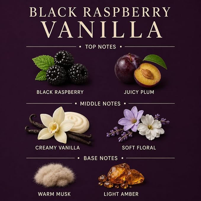 Black Raspberry Vanilla Affinati 10 oz Scented Candle for Home – Long Lasting Fruity Soy Blend Candle with Wooden Wick, Strong Scent Throw Glass Jar Candles, Premium Clean Burning Aromatherapy Gifts