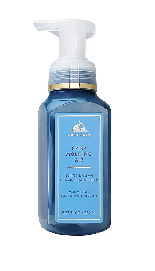 Bath & Body Works Gentle Foaming Hand Soap 8.75 oz (Crip Moroning Air)