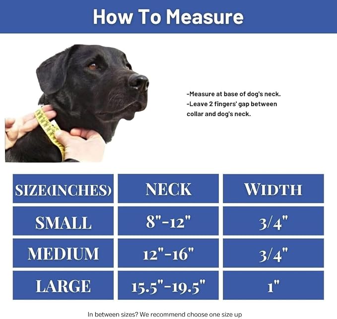 Waterproof Dog Collar, Soft Comfortable Pet Collars, Adjustable Odor Proof Heavy Duty Dog Collars Easy to Clean for Large, Medium Small Dogs by Bee N Buu (Blue, Large (length15.5-19.5", Width 1"))