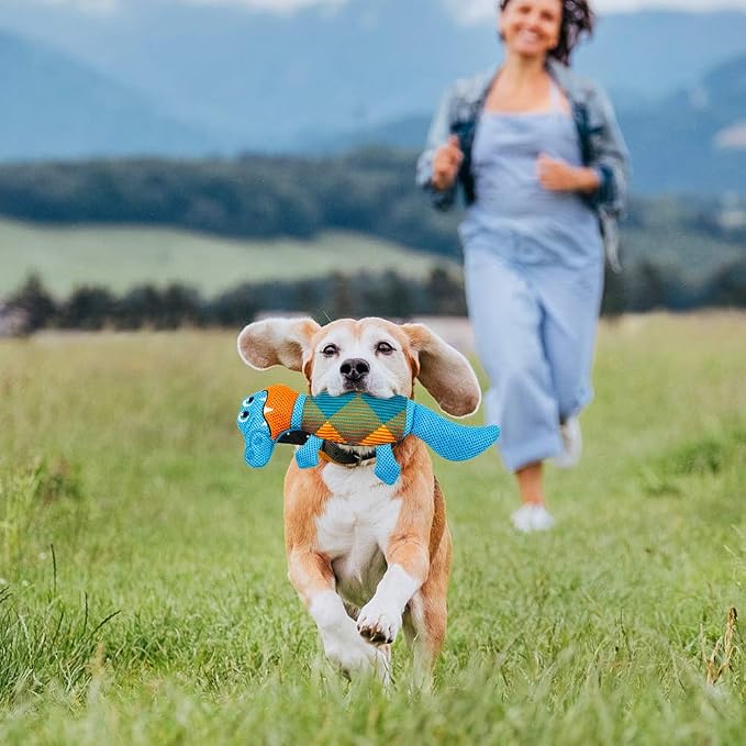 EXPAWLORER Floating Dog Toys Squeaky Toys - 2 Pack Dog Water Toys for Pool Fetch, Durable Oxford Fabric Pet Chew Toy Summer Outdoor Interactive Play, for Small Medium Breeds
