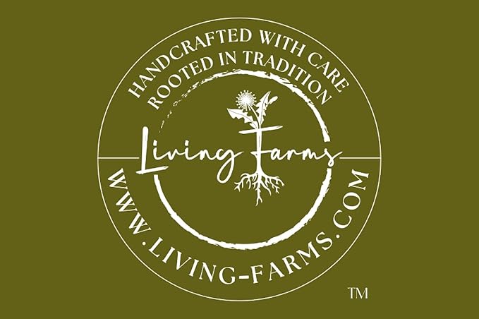 Poke Root & Castor Oil Salve -1oz- Cysts, Boils, Fibroids, Swollen Lymph Nodes, Breast & Joint - Vegan Lymphatic Support Massage Balm - Natural Deep Tissue Relief Ointment Handmade in The USA