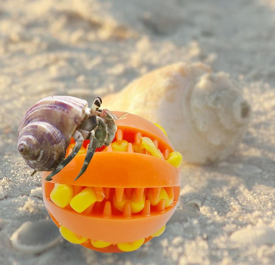2 Pcs Hermit Crab Toys,Hermit Crab Treat Ball/Feeder Ball,Hermit Crab Wheel are Perfect Decorations and Accessories for Aquariums and Tanks