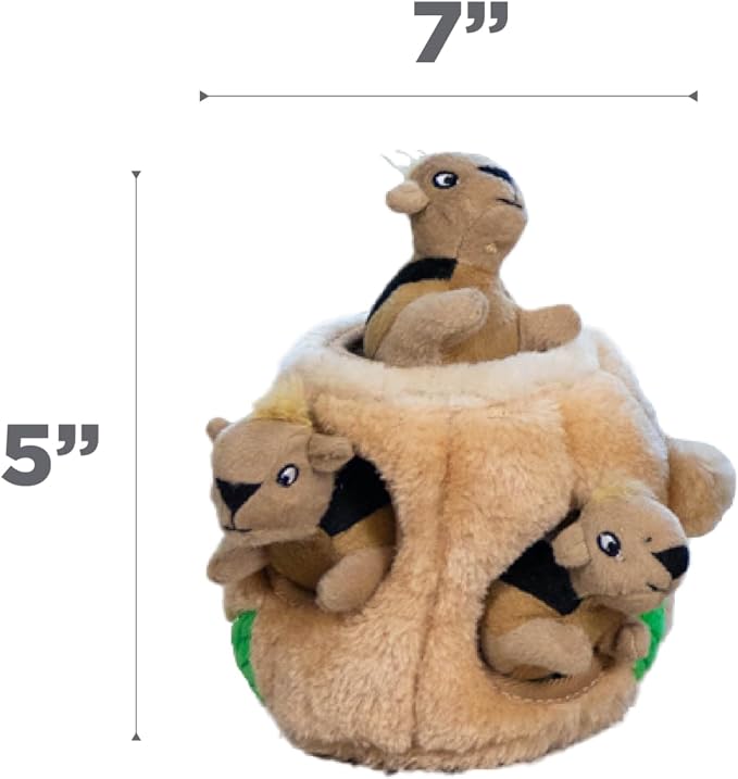 Outward Hound Hide-A-Squirrel Plush Squeaky Dog Toy, Small, 5" x 7" | Hide-n-Seek Puzzle, 3 Removable Squirrels, Fetch Play, Interactive Enrichment, Boredom Buster, Light Chewers, Dogs & Puppies