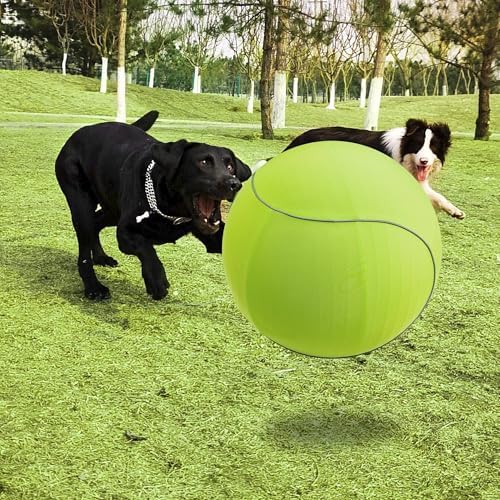 ANC POP 25" Herding Ball for Dogs & Horses with Green Nylon Cover, for Australian Shepherd Training Toy, for Medium & Large Pets Outdoor Play & Exercise