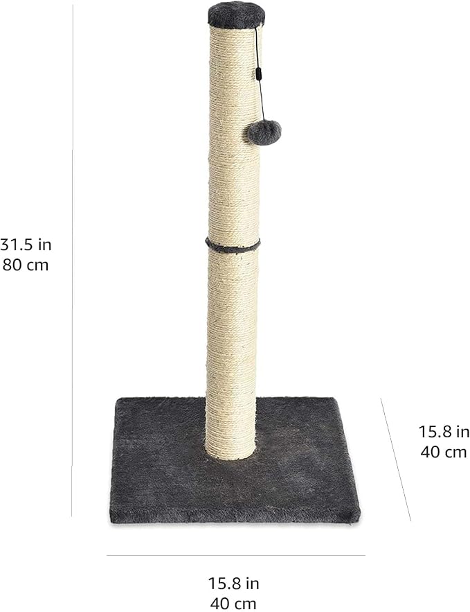 Amazon Basics Cat Scratching Post for Indoor Cats & Kittens, Medium (31.5"H), Cat Furniture with Dangling Ball Toy, Grey