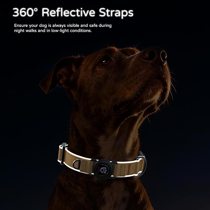 Leather AirTag Dog Collar, Magnetic Buckle, Reflective, Brown M