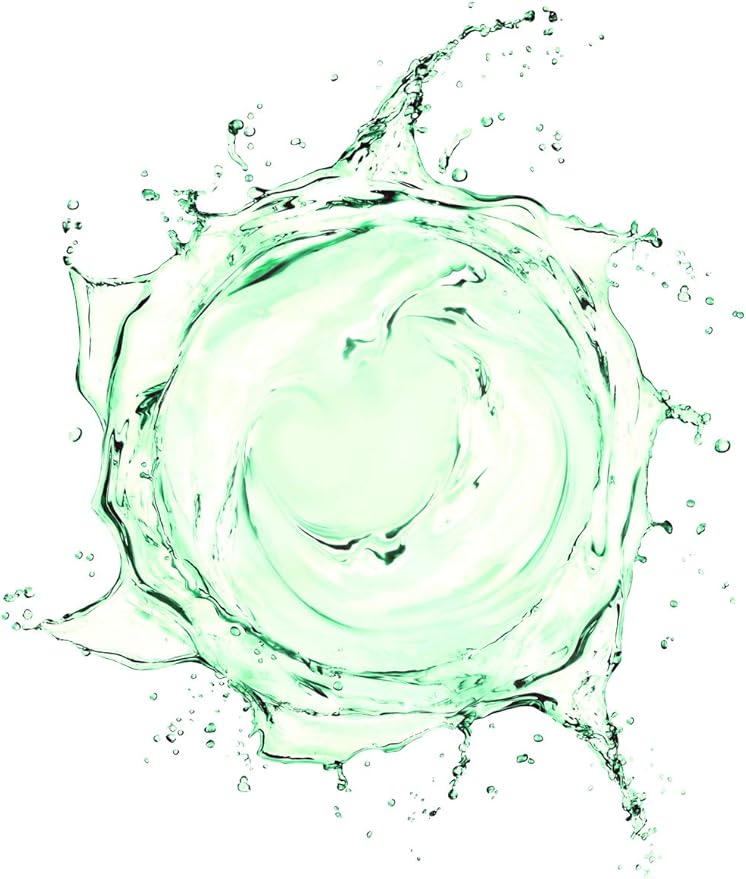 RAYA Camphor Astringent 16 oz (204) | Effective Facial Toner for Oily and Break-Out Skin | Helps Dry Up Blemishes and Control Excessive Oiliness | Made with Camphor and Eucalyptus