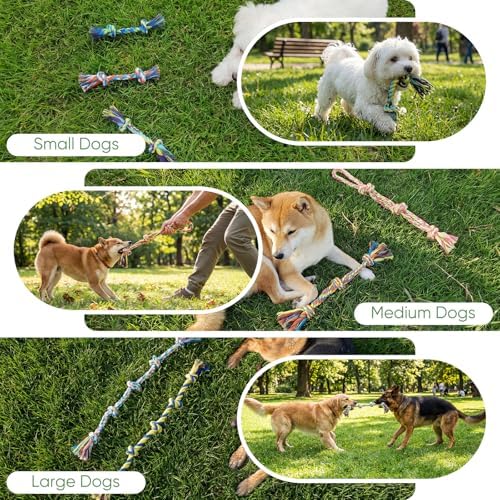 Aitmexcn Dog Rope Toys,10 Pack Cotton Chew Tug Toys for Small Medium Dogs
